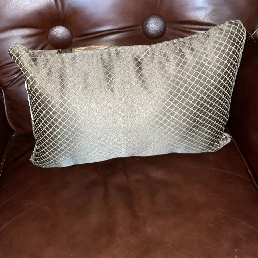 Decorative Pillow 16”x11” EUC